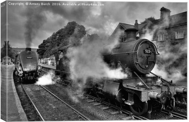 Smoke and Steam Canvas Print by Antony Burch