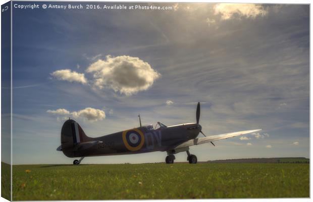 Sunlight Spitfire Canvas Print by Antony Burch