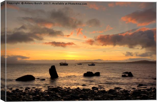 Elgol Harbour Sunset Canvas Print by Antony Burch