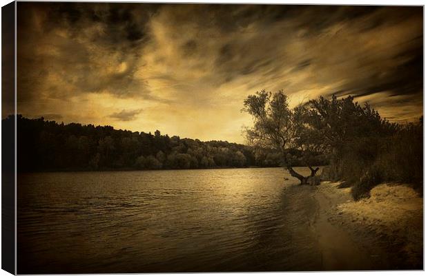 Along the river Canvas Print by Piotr Tyminski