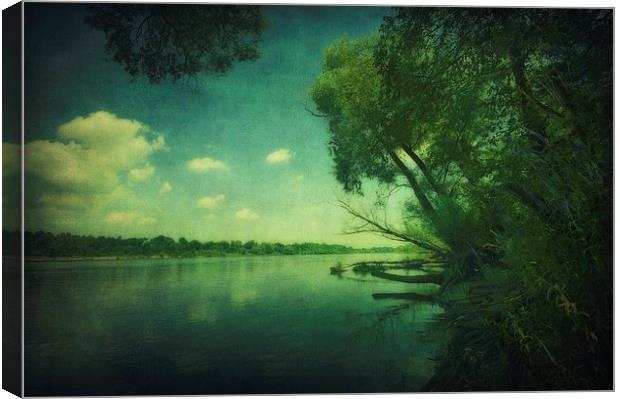 Narew River Canvas Print by Piotr Tyminski