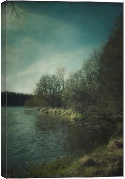 Along the river #5 Canvas Print by Piotr Tyminski
