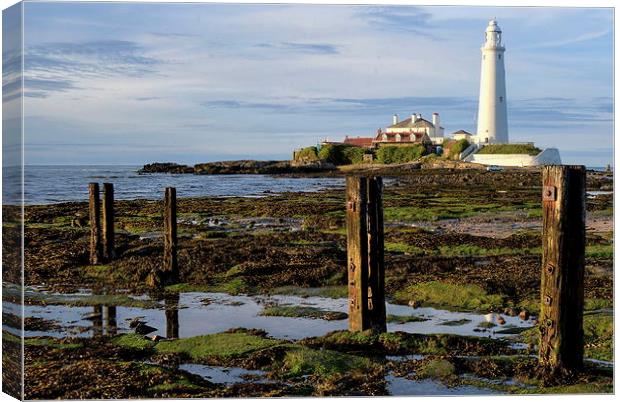  St Mary's Lighthouse Whitley Bay Canvas Print by Mike Twist