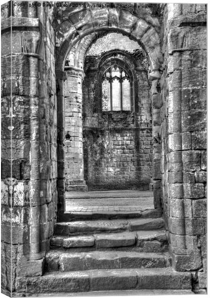 A window within a door Canvas Print by Dave Carroll