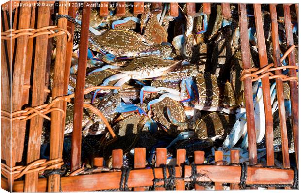 Catch of the Day ! Canvas Print by Dave Carroll