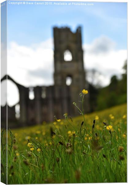  Spring at the Abbey Canvas Print by Dave Carroll