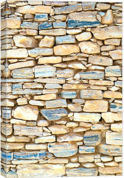 A wall for your wall Canvas Print by Dave Carroll