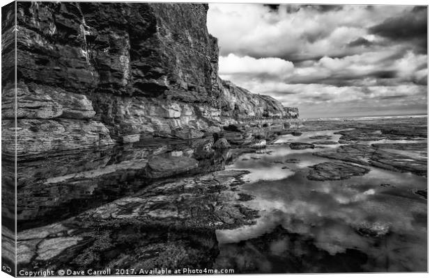 Jurassic Coast, England : Black and White Canvas Print by Dave Carroll