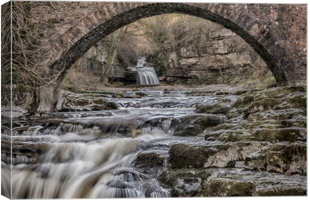 Stone Bridge : At Cauldron Falls, Yorkshire Dales Canvas Print by Dave Carroll