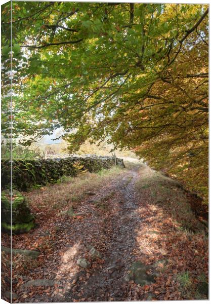 Road to somewhere ? Canvas Print by Dave Carroll