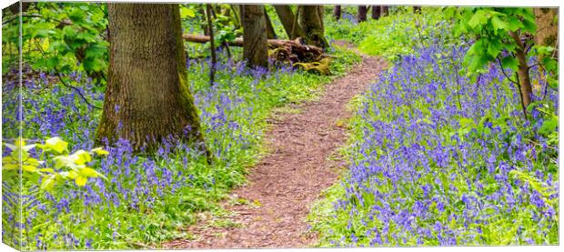 Path to summer... Canvas Print by Dave Carroll