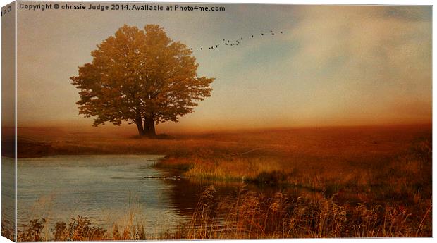  Peaceful Autumn  Canvas Print by Heaven's Gift xxx68