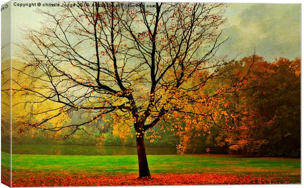 The Autumn Tree Hampstead  London  Canvas Print by Heaven's Gift xxx68