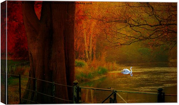  Autumn the season of colour  Hampstead-heath Lond Canvas Print by Heaven's Gift xxx68