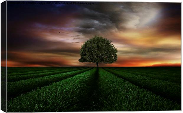  The Green tree Canvas Print by Heaven's Gift xxx68
