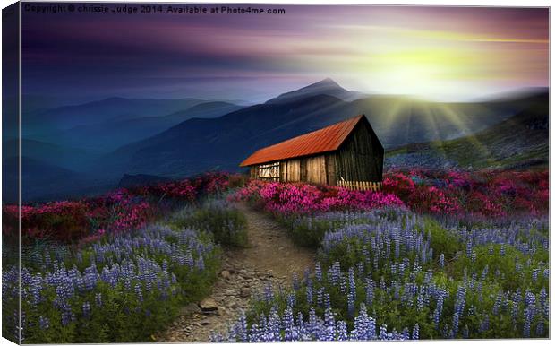  beautiful meadow  Canvas Print by Heaven's Gift xxx68