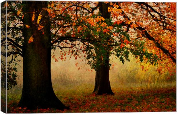  Autumn In Hamstead-heath London Uk  Canvas Print by Heaven's Gift xxx68