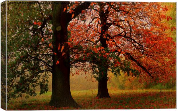  textured/painterly Autumn scene  Hampstead-heath  Canvas Print by Heaven's Gift xxx68