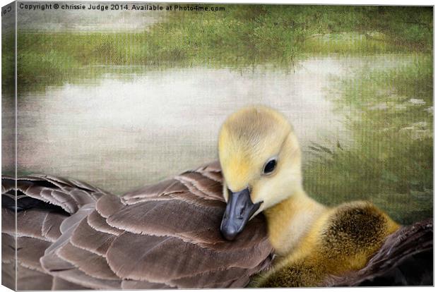 There's nothing like a mama-hug. ~Terri Guillemets Canvas Print by Heaven's Gift xxx68