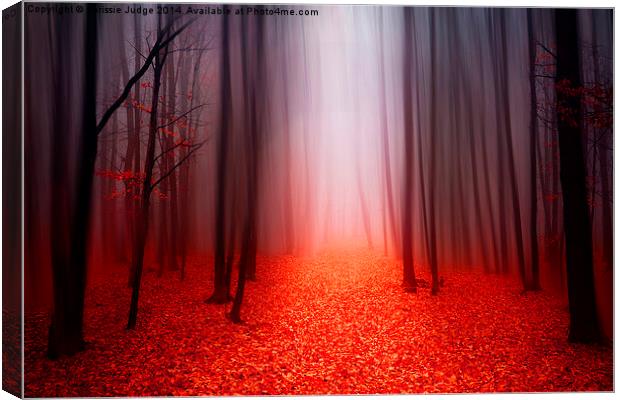  The Red Forest Canvas Print by Heaven's Gift xxx68