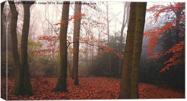  The Autumn Forest Hampstead-heath London Uk  Canvas Print by Heaven's Gift xxx68