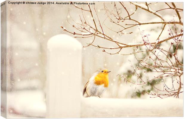  The little red robin on a snowy winters day in lo Canvas Print by Heaven's Gift xxx68
