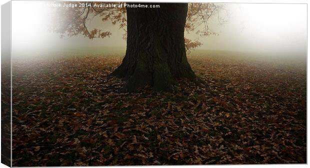  Autumn the season of colour and mystery  Canvas Print by Heaven's Gift xxx68