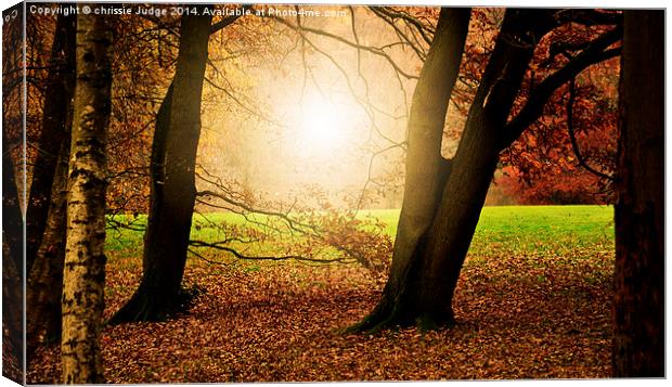  Autumn on the Heath  Canvas Print by Heaven's Gift xxx68