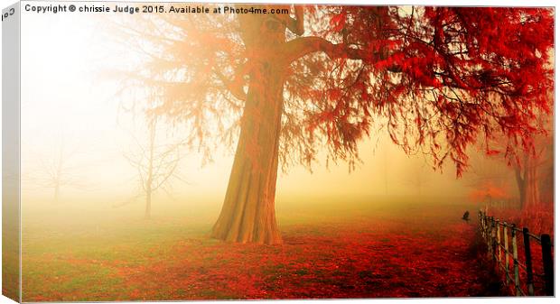 the beautiful red Autumn Tree  Canvas Print by Heaven's Gift xxx68