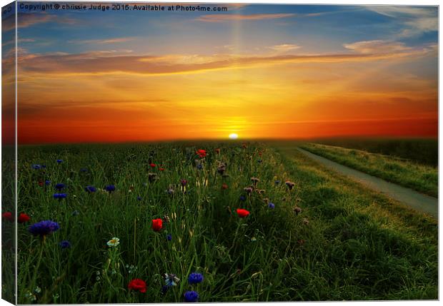  Sunrise over  the meadow  Canvas Print by Heaven's Gift xxx68