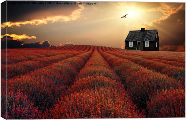  The  little black House  Canvas Print by Heaven's Gift xxx68
