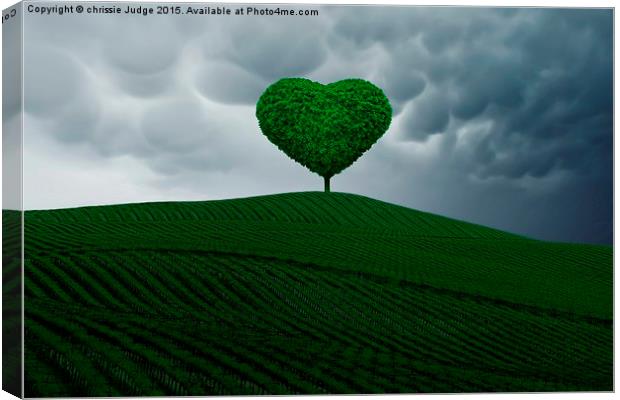  the little green heart tree  Canvas Print by Heaven's Gift xxx68