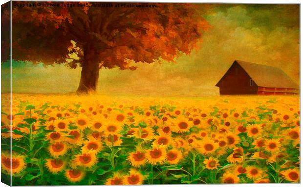 the sunflower field  Canvas Print by Heaven's Gift xxx68
