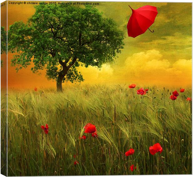 fly High  Canvas Print by Heaven's Gift xxx68