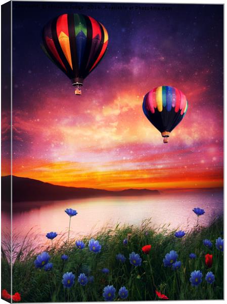 Lets fly lets fly away  Canvas Print by Heaven's Gift xxx68