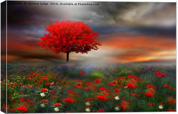 The little Red Tree  Canvas Print by Heaven's Gift xxx68