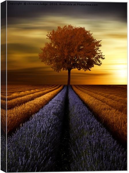 The  tree  Canvas Print by Heaven's Gift xxx68