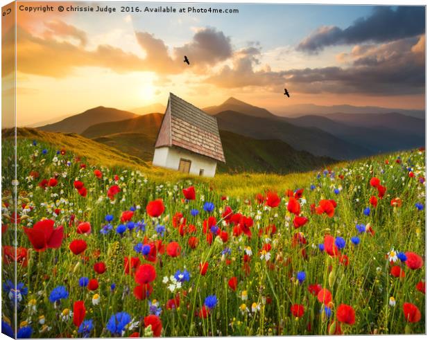 the meadow  Canvas Print by Heaven's Gift xxx68