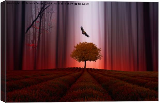The Red forest Canvas Print by Heaven's Gift xxx68