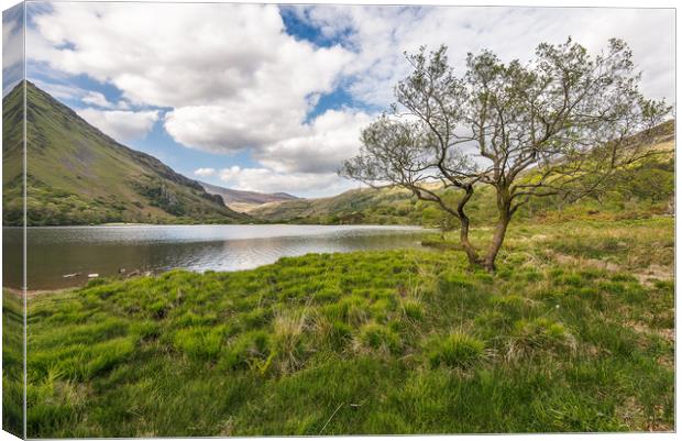 Green and pleasant land Canvas Print by Jonathon barnett