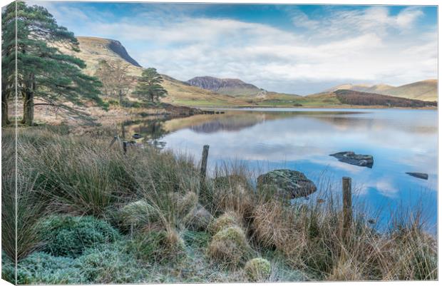 Frost and reflections Canvas Print by Jonathon barnett