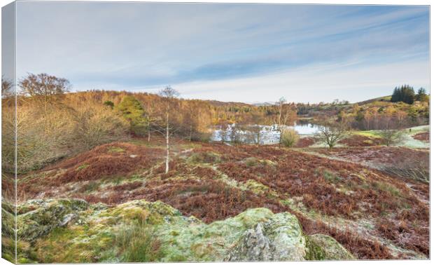 Tarn Hows view Lake District Canvas Print by Jonathon barnett