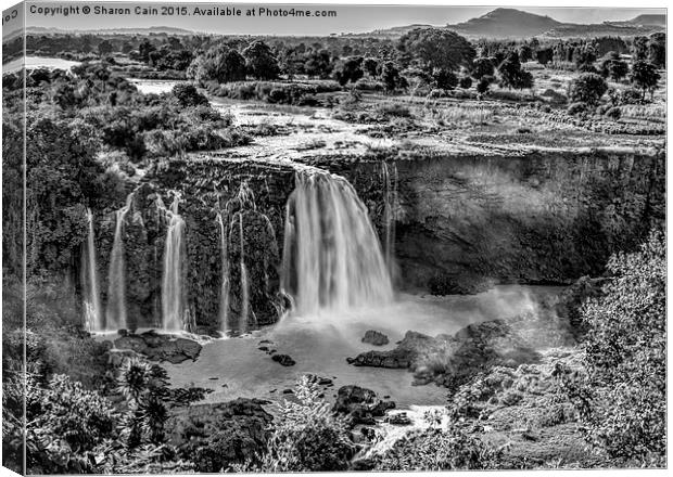  Nile Falls narrow version Canvas Print by Sharon Cain