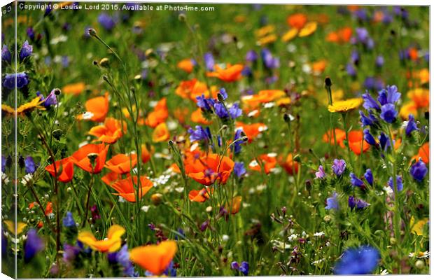  Wild Flower Meadow Canvas Print by Louise Lord