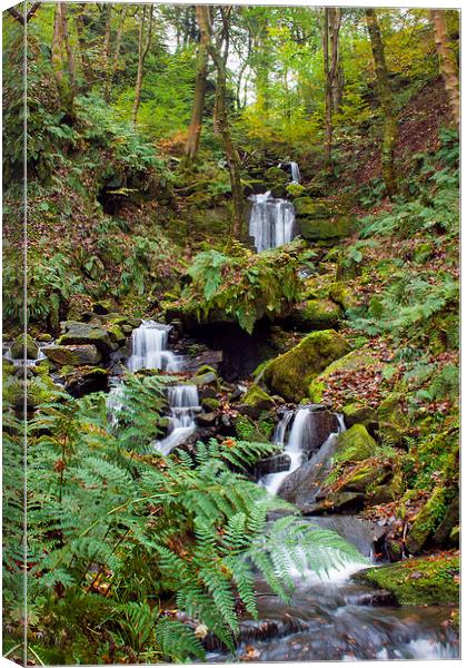  Waterfall at Hardcastle Crags Canvas Print by Phil Clarkson
