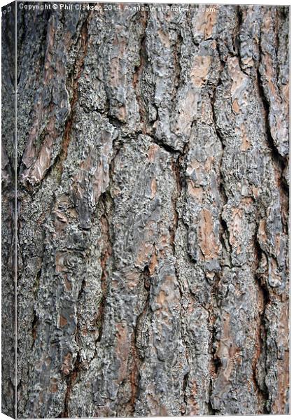 Tree Bark Abstract Canvas Print by Phil Clarkson