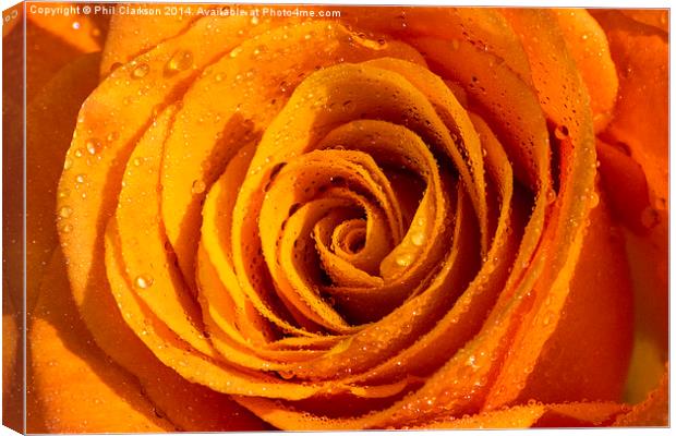 Orange Rose Abstract Canvas Print by Phil Clarkson