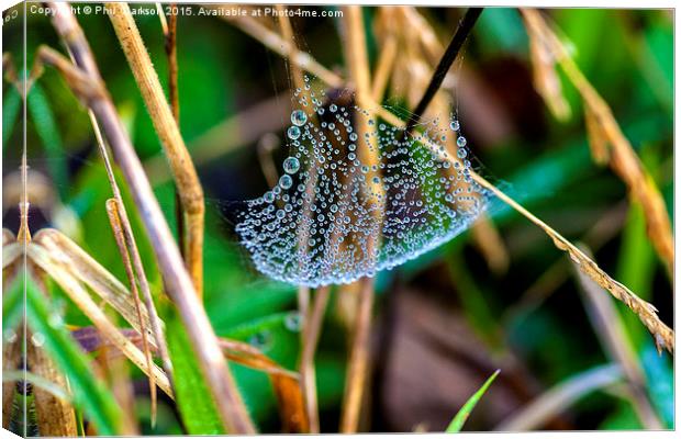  Dew on Web Canvas Print by Phil Clarkson