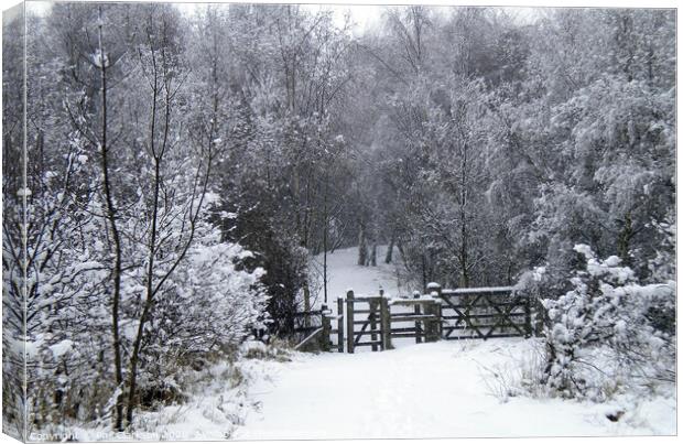 Snowy Gate in Fairburn, North Yorkshire Canvas Print by Phil Clarkson