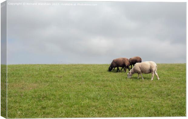 Terschelling Canvas Print by Richard Wareham